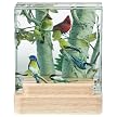 Birds on Birch Tree 3-D Coaster Set