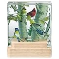 Birds on Birch Tree 3-D Coaster Set