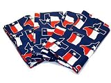 Lone Star TEXAS FLAG 4 Pc Napkin Set LIMITED Edition Linen and Cloth Table Napkins for Dinner, Kitchen Linens Gift Ideas