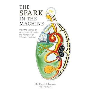 The Spark in the Machine: How the Science of Acupuncture Explains the Mysteries of Western Medicine