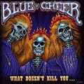 What Doesn't Kill You