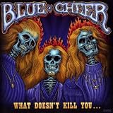 What Doesnt Kill You