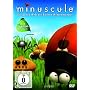 Minuscule, Folgen 01-78 [2 DVDs] <b>DVD</b> ~ Herv� Lavandier