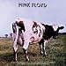 Pink Floyd - Atom - Sticker / Decal