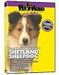 SHETLAND SHEEPDOG DVD! All about the Sheltie. Includes Bonus Video: Dog & Puppy Obedience Training.