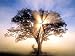 How to Meditate for Absolute Beginners
