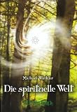 Die spirituelle Welt - Michael Winkler