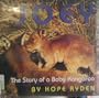 Joey: The True Story of a Baby Kangaroo