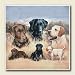 AbsorbaStone Coaster set~ Labrador Retriever - Rascals Become Legends ~4 Tile Drink Coasters ~ code 056