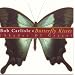 Butterfly Kisses (Shades Of Grace)