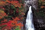 1000ピース 紅葉と法体の滝 10-1111