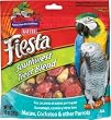 Kaytee Fiesta Southwest Treat Blend -- 10 oz