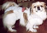 Joybies Blue Striped Piddle Pants(tm) for XX Small Male Dog (Measuring 9-11 From Collar to Base of Tail)