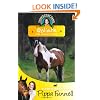 Tilly's Pony Tails 13: Goliath: the Rescue Horse