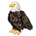 Douglas Adler Eagle