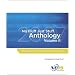 No Fluff, Just Stuff Anthology