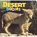 Desert Babies