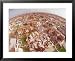 All Products : The Devastation Left by Hurricane Andrew is Clear Framed Art Poster Print, 31x25