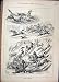 1879 Horses Australia Whip Falling Down Hill Old Print