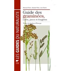Guide des gramin�es, carex, joncs, et foug�res : Toutes les herbes d'Europe