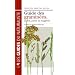 Guide des gramin�es, carex, joncs, et foug�res : Toutes les herbes d'Europe