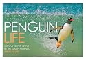 Penguin Life: Surviving with Style in the South Atlantic