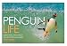 Penguin Life: Surviving with Style in the South Atlantic