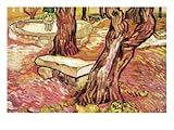 IMAGE OF The Stone Bench In The Garden of Saint-Paul Hospital Fine Art Premium Poster Print by Vincent van Gogh, 18x24