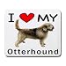 I Love My Otterhound Mouse Pad