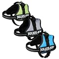 Julius-K9 Powergeschirr Mini/M, aquamarin