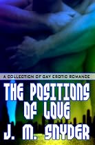 The Positions Of Love