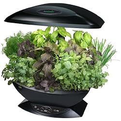 AeroGarden Classic 7-Pod with Gourmet Herb Seed Kit