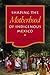 Shaping the Motherhood of Indigenous Mexico