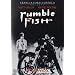 �����u���t�B�b�V�� [DVD]