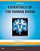 Essentials of the Human Brain: With STUDENT CONSULT Online Access, 1e