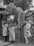 Children of Filipino Field Workers Standing by Fence Collections Photographic Poster Print, 18x24