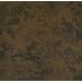 Westcott Photo Basics 5' x 8' 587 Background (Chocolate)