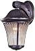 Amarante Heritage 13 1/2 High Outdoor Wall Light