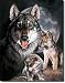 Graham - Wolf Experience Metal Tin Sign 12.5"W x 16"H