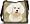 Bichon Frise