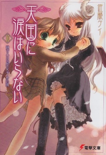 Cover image : 天国に涙はいらない〈10〉妹兄山腐女子庭訓 (電撃文庫)
