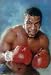 Iron Mike Tyson boxing poster Kid Dynamite punch-out - 11" x 17"