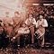2nd South Carolina String Band
