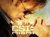 CSI: Miami Season 7