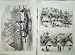 1875 Village Humboldt Guinea Admiralty Islands Natives