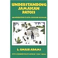 Understanding Jamaican Patois