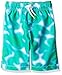 The Children's Place Boys' Printed Swim Trunk