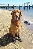 All Weather Neoprene Paw Protector Dog Boots with Reflective Velcro Straps in 5 Sizes! (Lg (3.5x3.5 in.)) Travel Zipper Case Included!