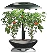 AeroGrow AeroGarden 6 Elite Plus with Mega Cherry Tomato Seed Kit, Black with Stainless Accents