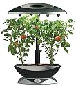 AeroGrow AeroGarden 6 Elite Plus with Ruby Heirloom tomato seed kit and a trellis system